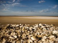 La Guajira 1